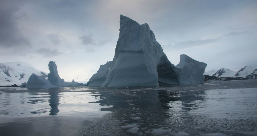 Arctic Ice Refreeze
