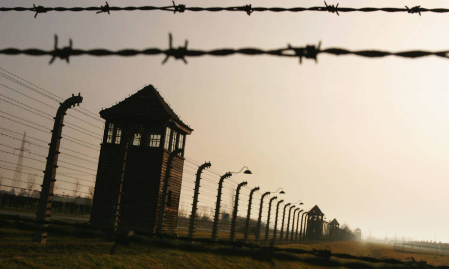Auschwitz Towers