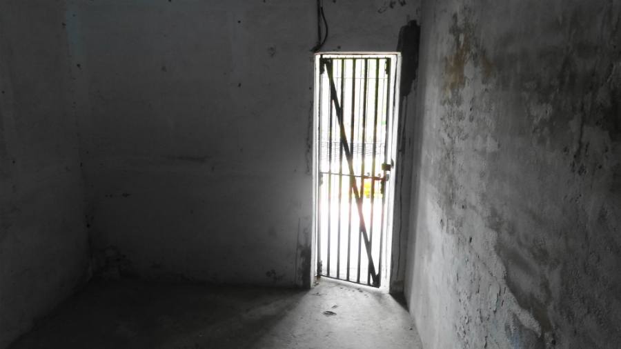 Cell