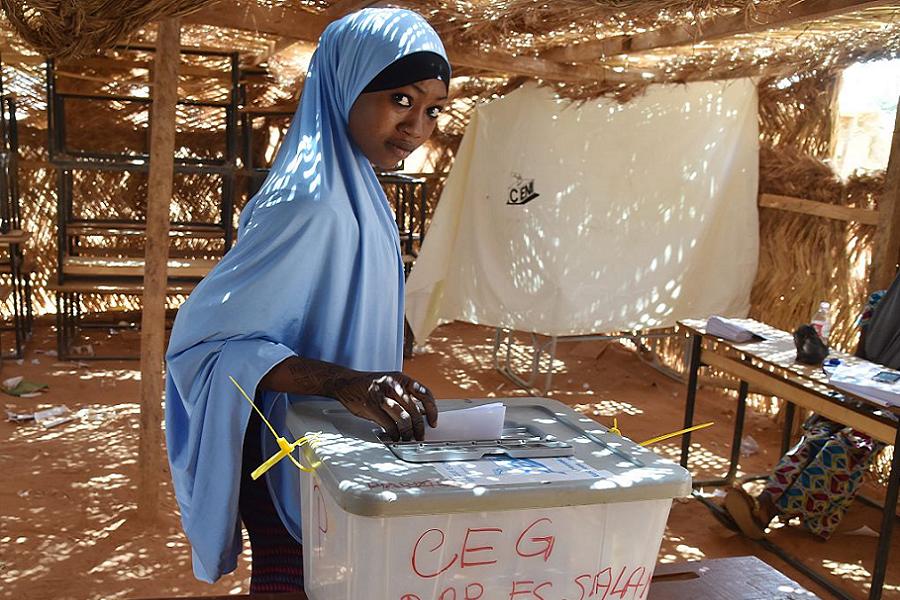 Democratic Coups Niger Voting