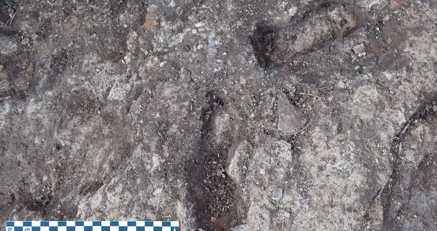 Egyptian Footprints