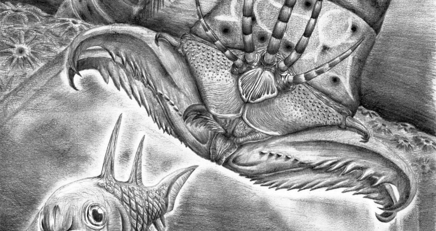 Websteroprion Armstrongi Giant Worm