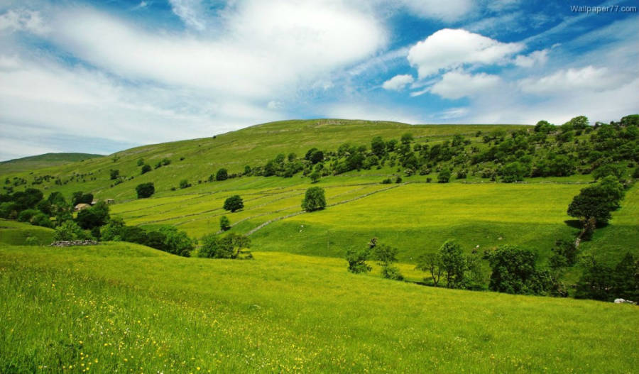 Ireland Green Hills