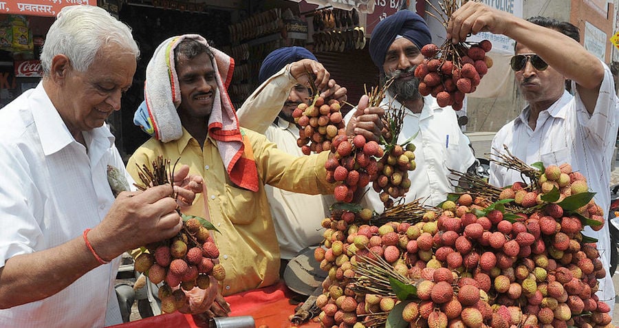 Lychee Fruit