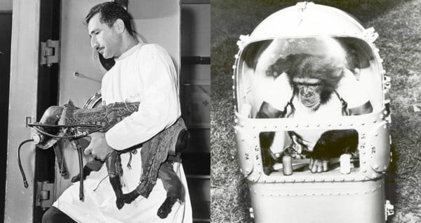 First Animals In Space: Astounding Photos And Stories