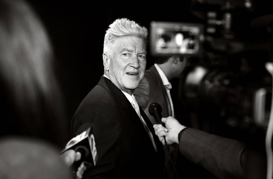 Fancy Lynch