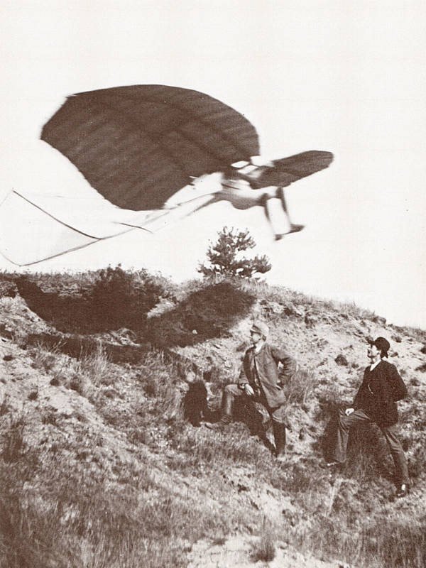 Glider In Flight