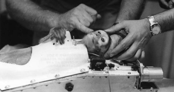 First Animals In Space: Astounding Photos And Stories