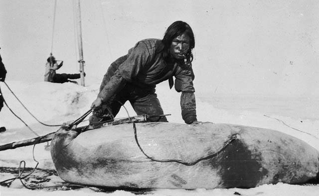 See The Inuit People And Culture Before Their Forced Relocation