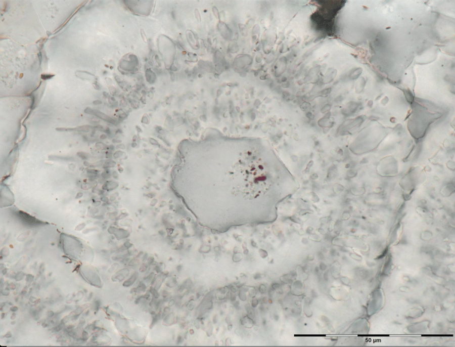 Iron Carbonate