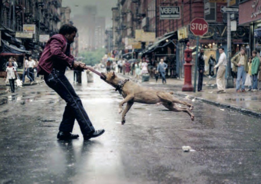 Jamel Shabazz Dog Owner