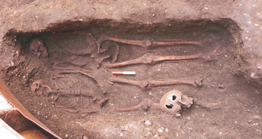 Male Skeletons Holding Hands Og