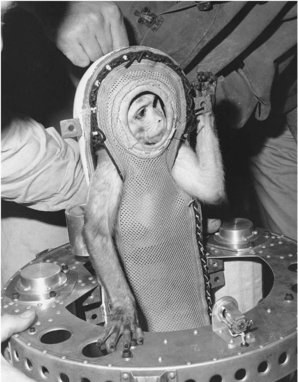 First Animals In Space Astounding Photos And Stories