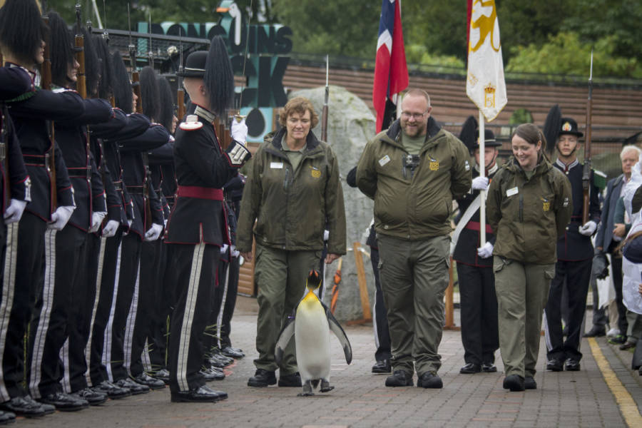 Brigadier Sir Nils Olav