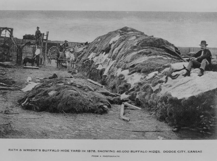 Buffalo Hide Yard