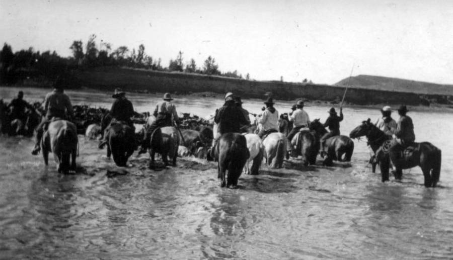 Cowboy River Crossing