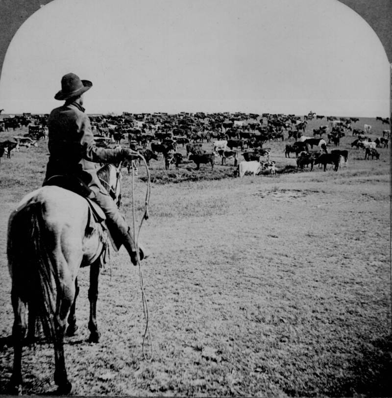 American Frontier: 48 Historic Photos Of Life In The Real Wild West