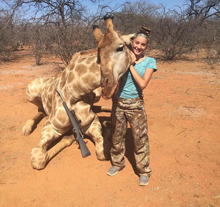 Giraffe Poaching