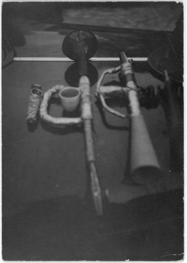 Homemade Horns