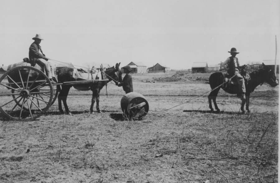 Horses Water