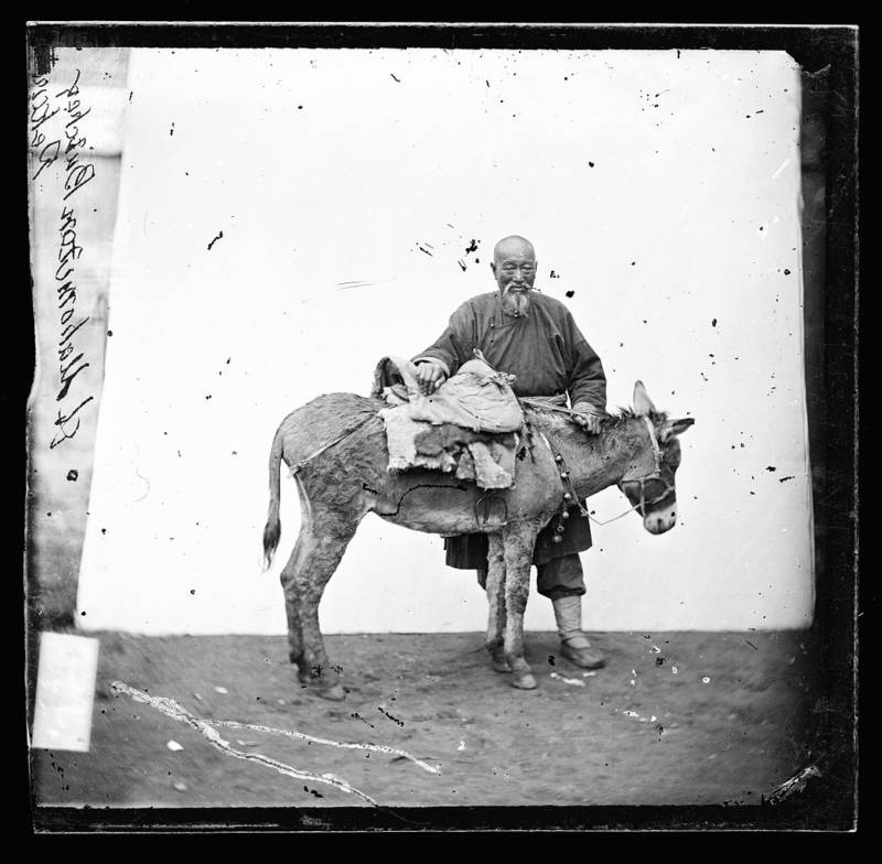 Man With Mule