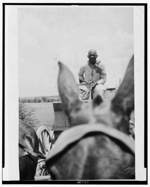 Moses Platt On Horseback