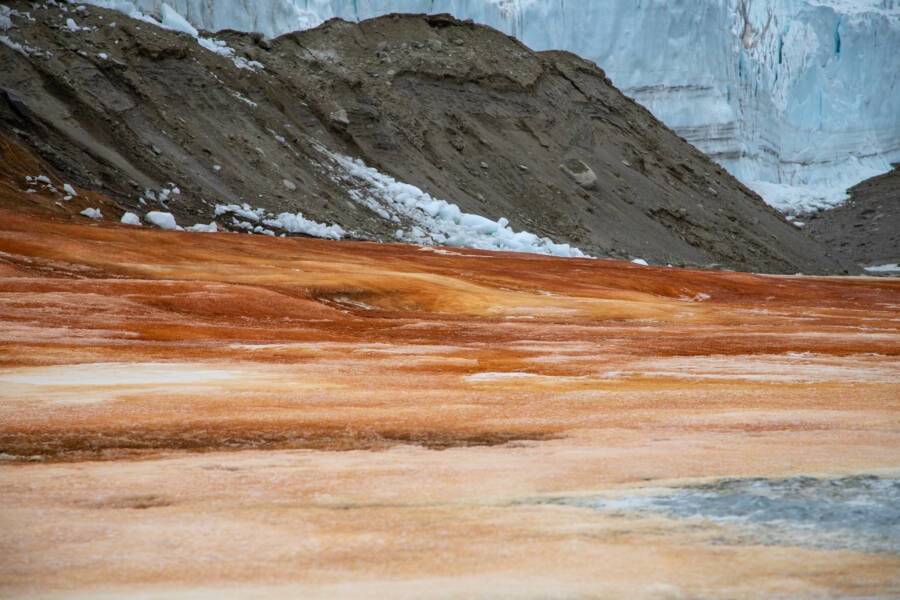 Red Snow At Blood Falls