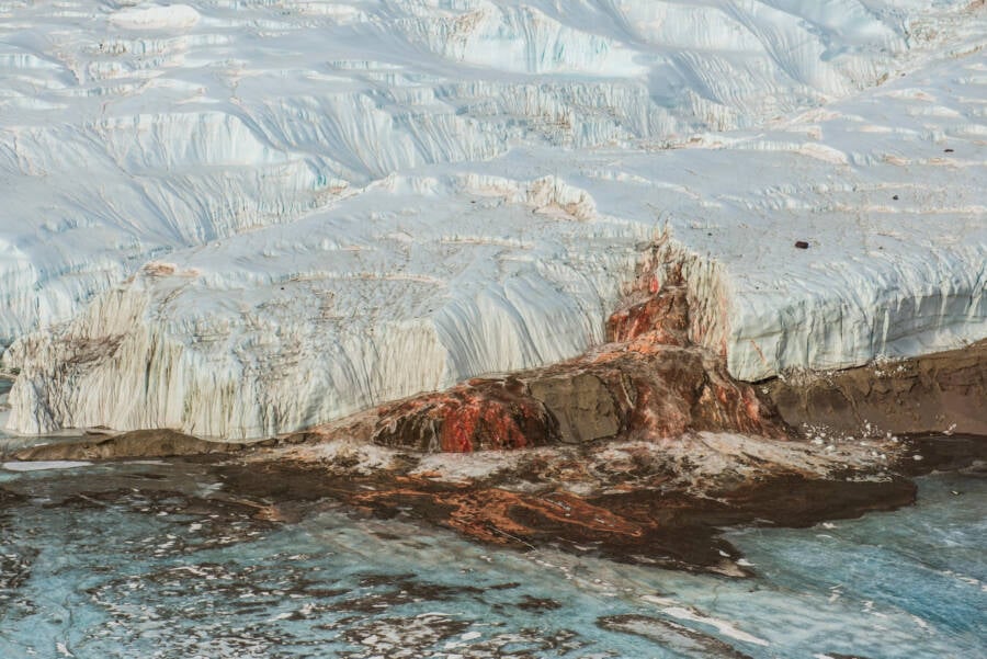 Taylor Glacier