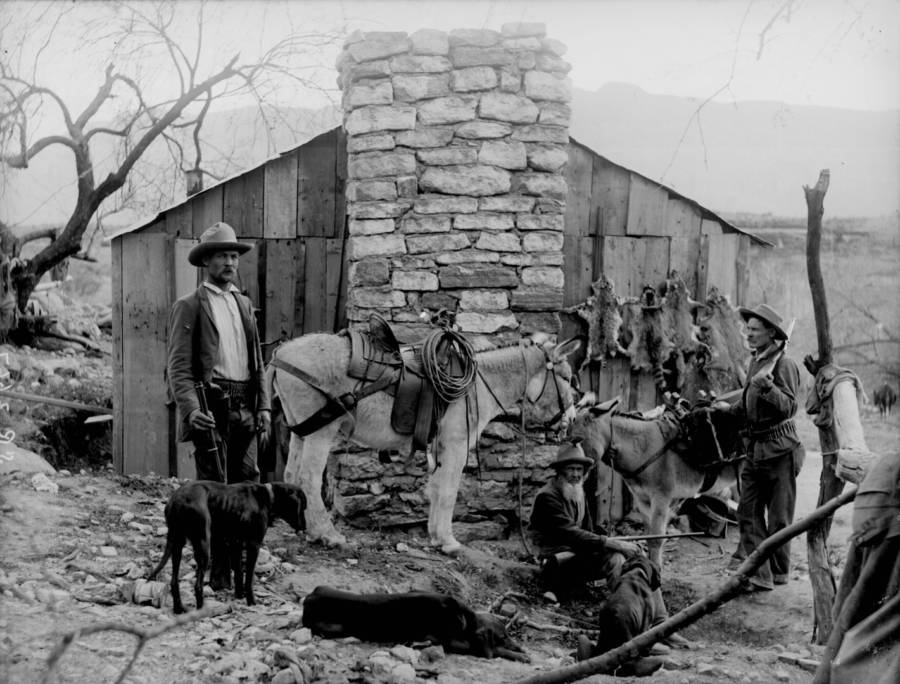 Trappers And Hunters
