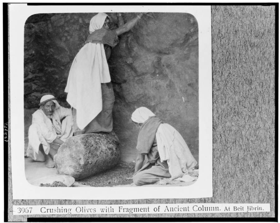 Crushing Olives With History
