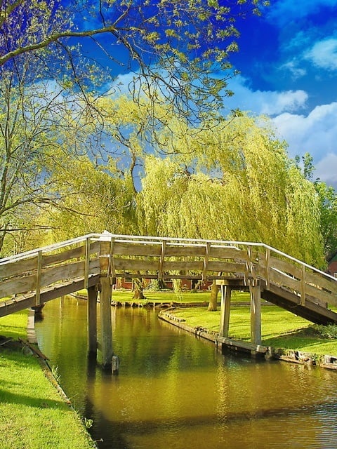 Giethoorn Green