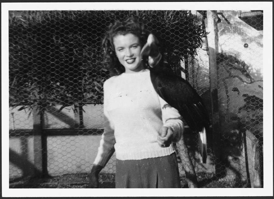 25 Photos Of Norma Jeane Mortenson Before She Became Marilyn Monroe 4502