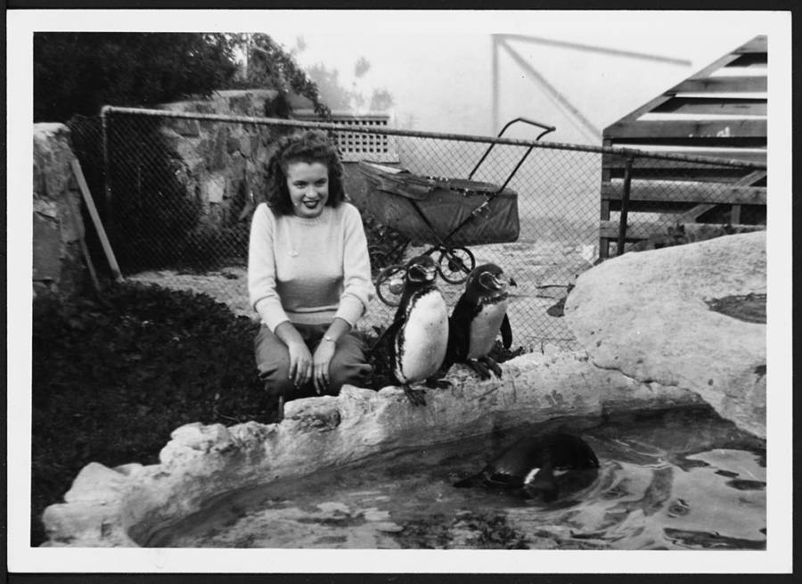 Norma Jeane With Penguins