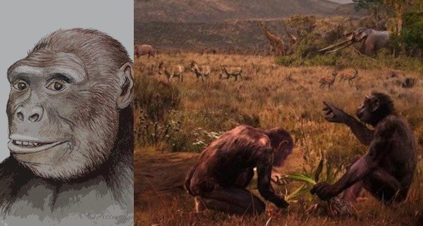 Pre Humans Africa Field