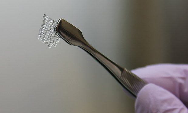 Printed Ovaries Mice