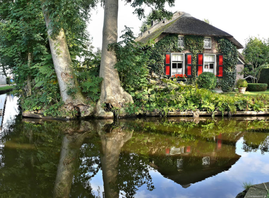 Reflective Water