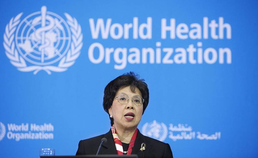 World Health Travel Budget