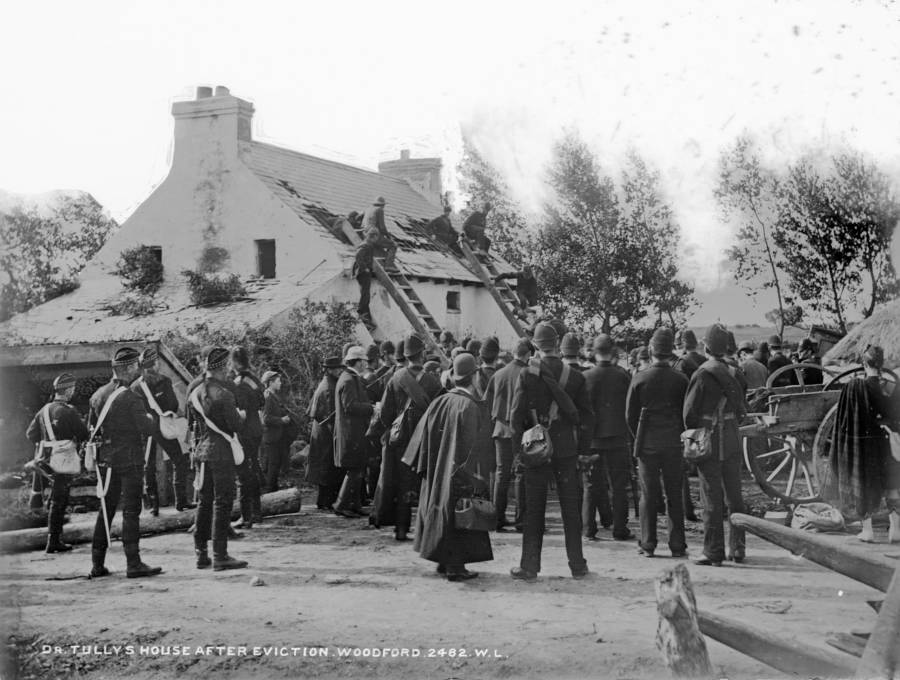 Dr Tullys House Ladders