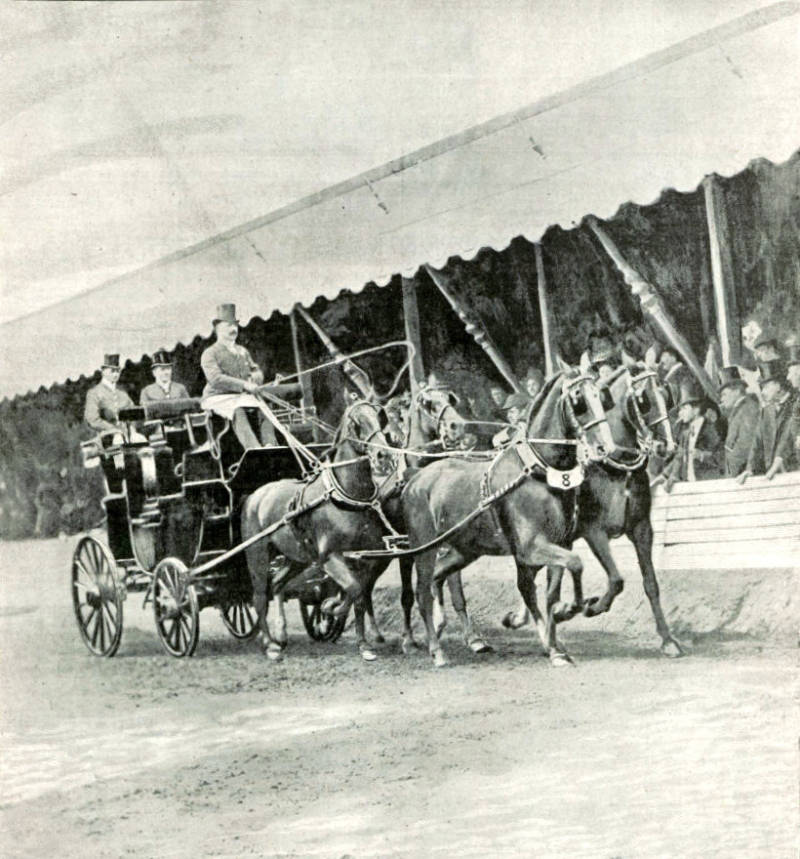 Four In Hand 1900