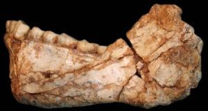 Oldest Homo Sapien Fossils Ever Found Og