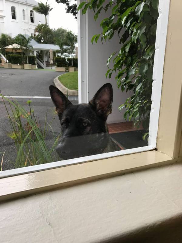 Peering Over