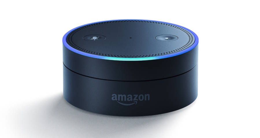 Alexa Echo Break In