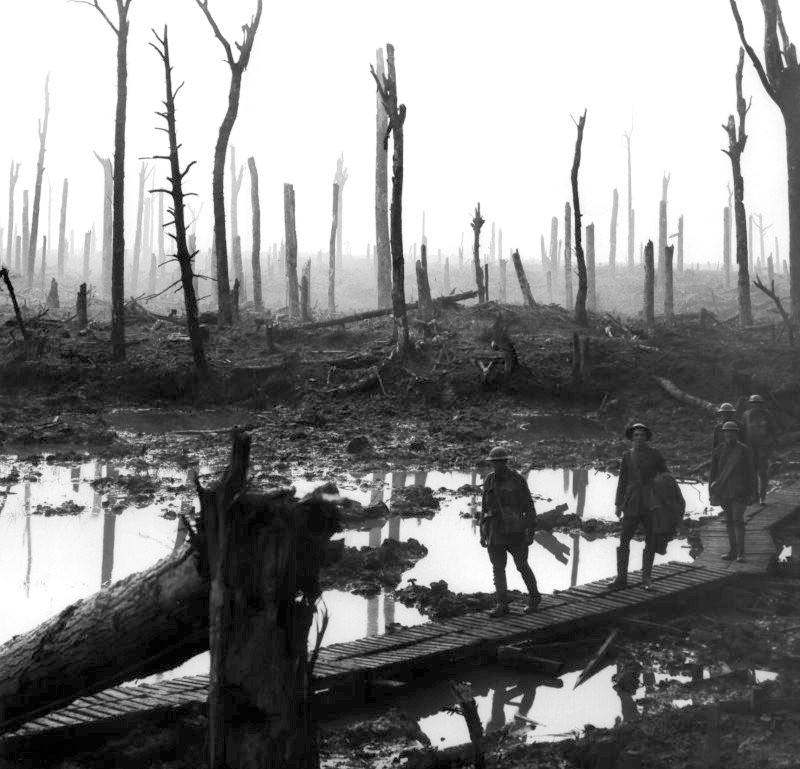 Chateau Wood Ypres Disaster