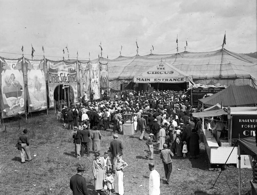 Vintage Circus Photos 36 Images From The Glory Day Of The Big Top