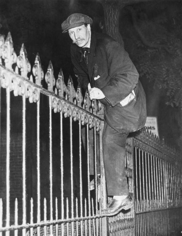 Collyer Brothers Climbing Fence