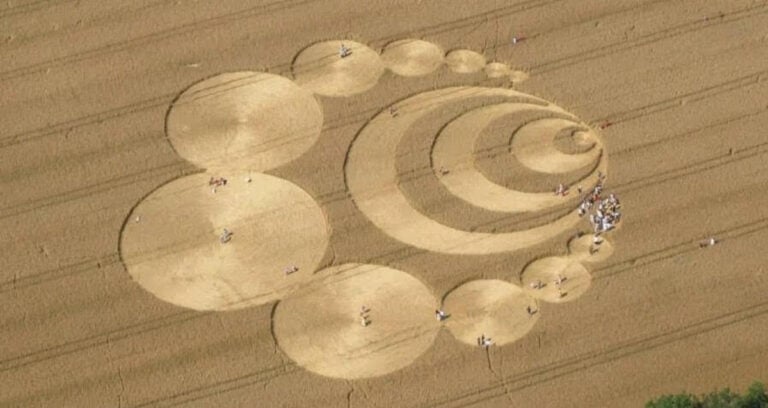 Crop Circles Featured