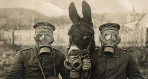 Gasmask Donkey Soldiers