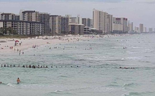 Human Chain To Save Strangers From Drowning