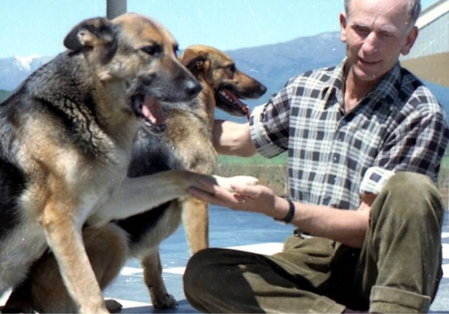 Paul Schafer With Two Dogs