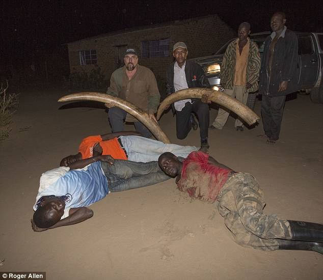 Poaching Gang Arrested